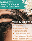 Rosemary Rice Water Hair Growth System Kit - Shampoo, Conditioner and Leave-in Serum
