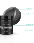 Natural Dead Sea Mud Mask for Face and Body 8.8 oz