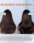 Rosemary Black Rice Water Hair Growth System Kit - Shampoo, Conditioner and Leave-in Serum