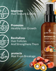 Organic Batana Oil Hair Care Kit – Sulfate-Free Growth, Anti-Loss, Repair System | Includes Shampoo, Conditioner, Hair Mask & Leave-In Spray